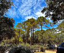 Camping pour tente en Corse