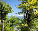 Pola namiotowe w Peschiera del Garda