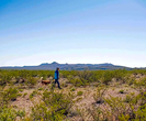 Emplacements de camping au Texas